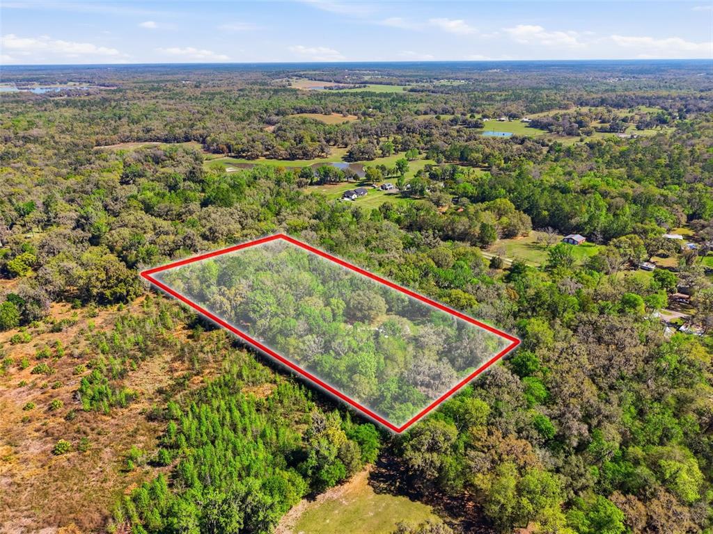 24350 Lanark Road Brooksville, FL 34601 - Photo 51 of 56 a view of a forest from a balcony