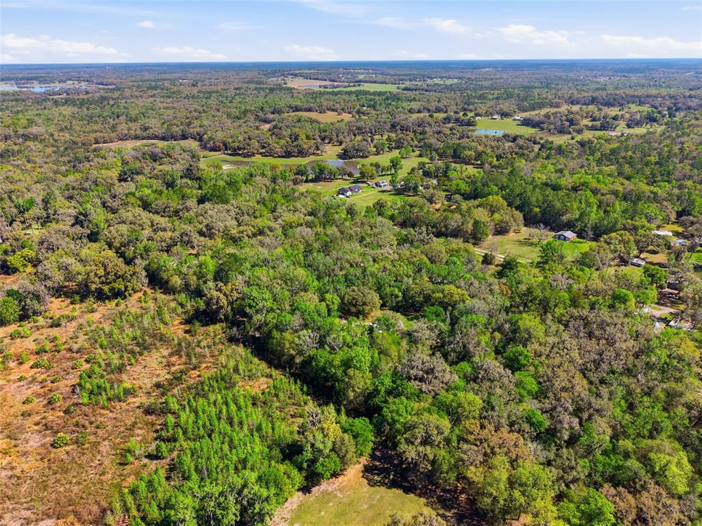 24350 Lanark Road Brooksville, FL 34601 - Photo 52 of 56 a view of a city with lush green forest