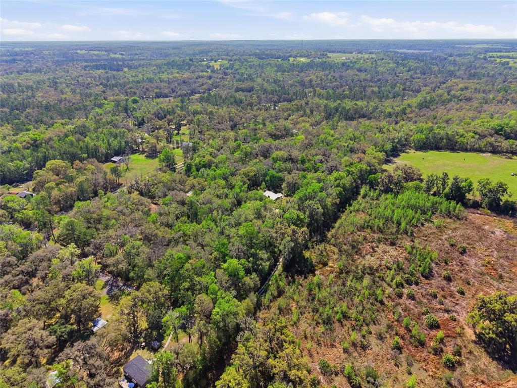 24350 Lanark Road Brooksville, FL 34601 - Photo 53 of 56 a view of a green field with lots of bushes