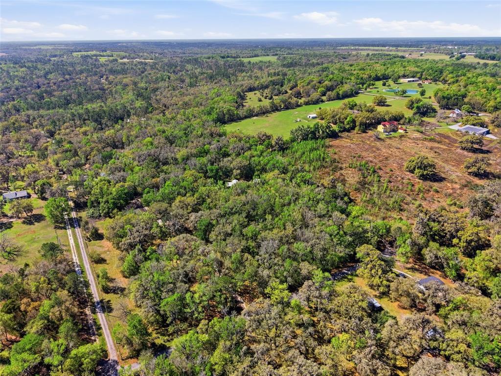 24350 Lanark Road Brooksville, FL 34601 - Photo 55 of 56 an aerial view of a houses with a yard