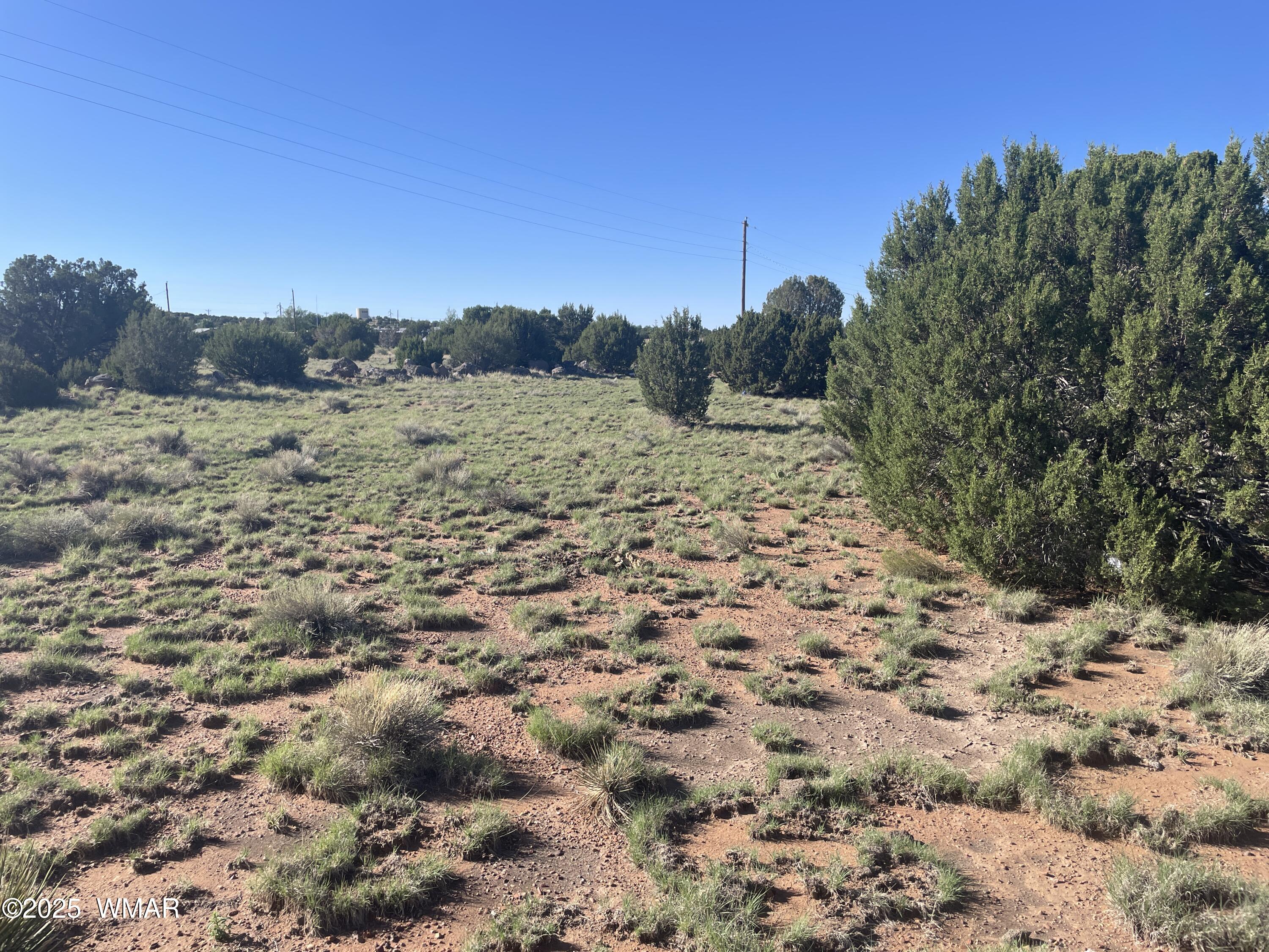 37 Frontage Road Concho, AZ 85924 - Photo 1 of 13 a view of a yard