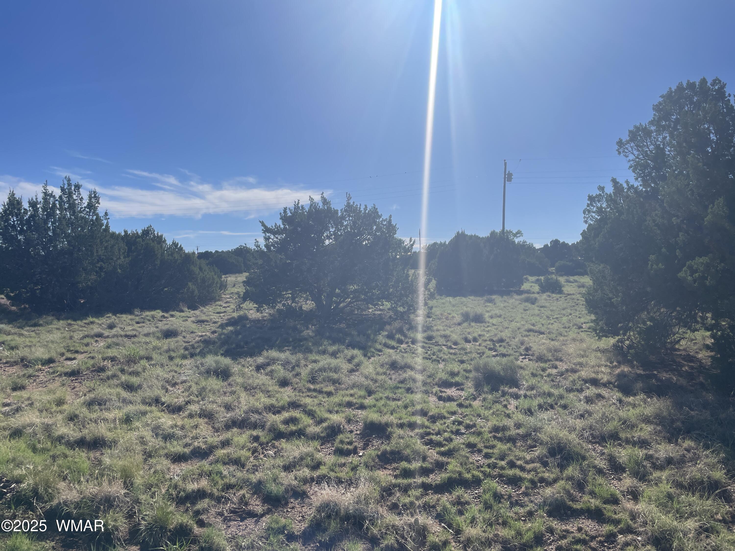37 Frontage Road Concho, AZ 85924 - Photo 2 of 13 a view of a dry yard