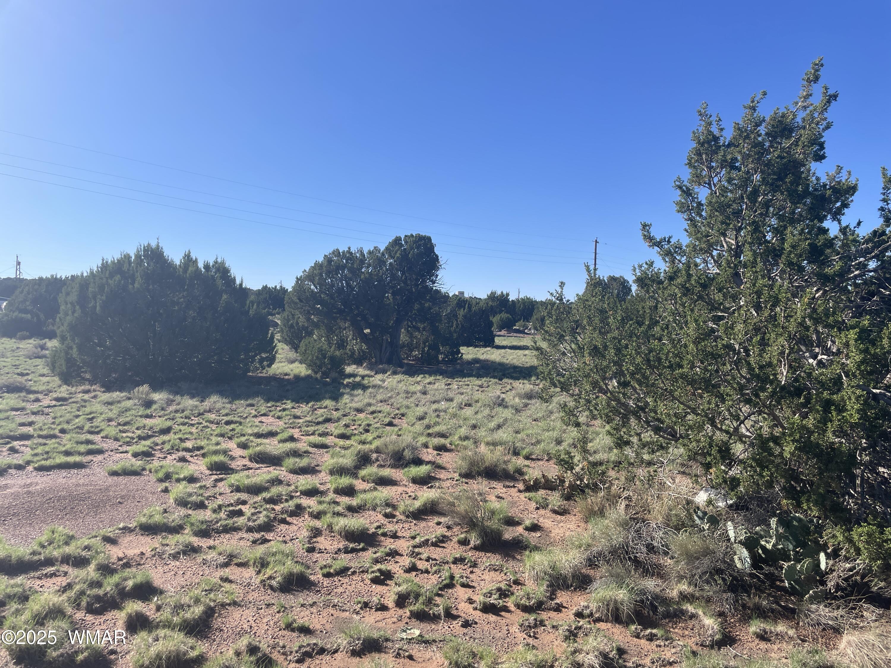 37 Frontage Road Concho, AZ 85924 - Photo 3 of 13 a view of a yard