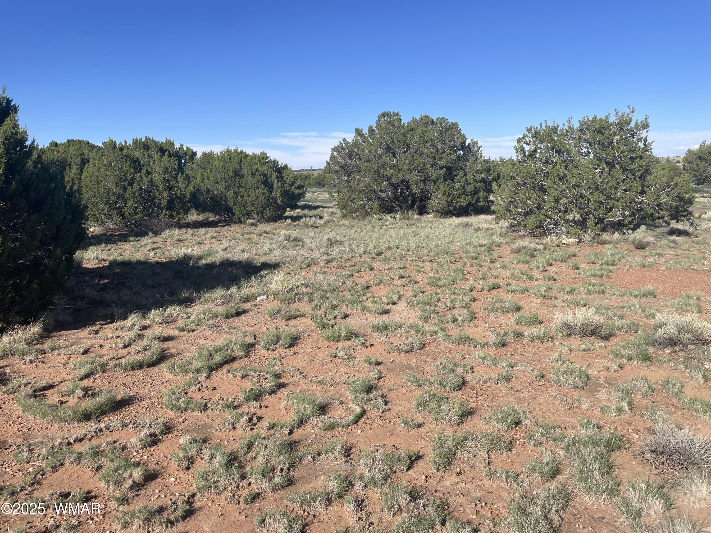 37 Frontage Road Concho, AZ 85924 - Photo 4 of 13 a view of a yard with a tree