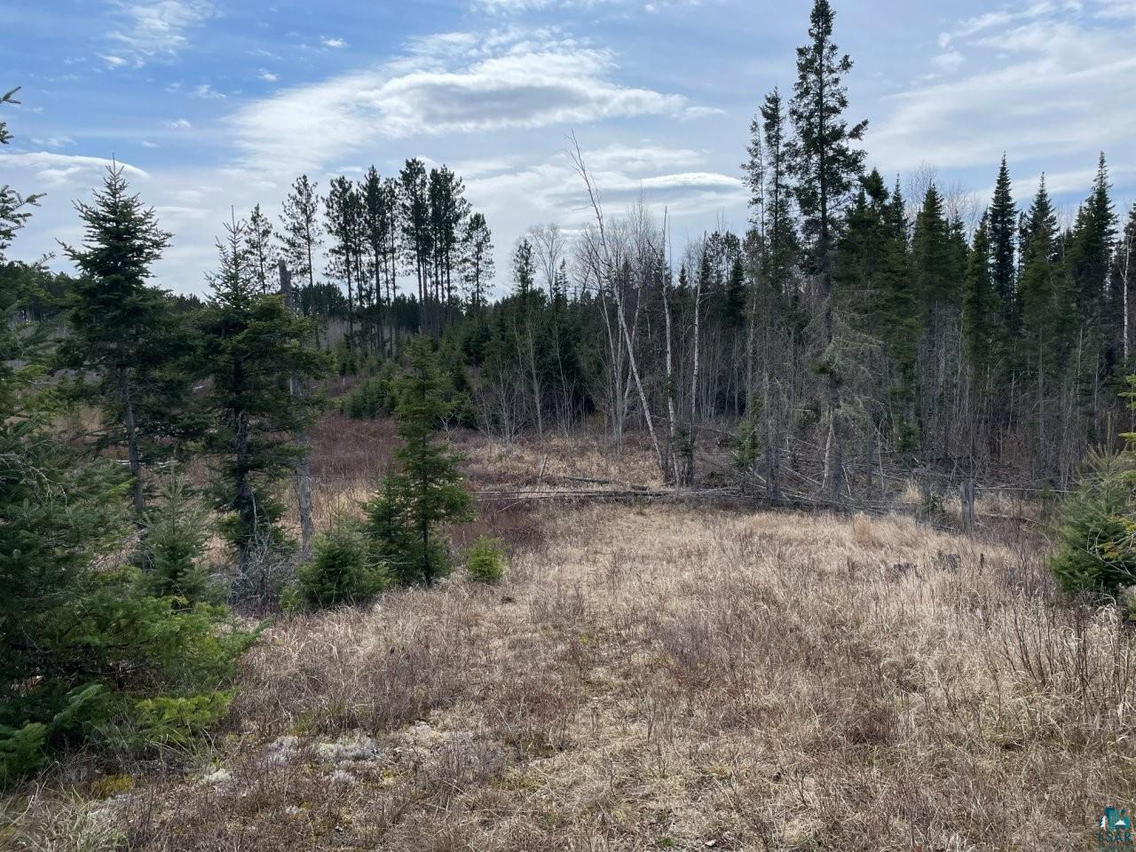 1480 Maijala Road Ely, MN 55731 - Photo 51 of 58 Cleared land parcel featuring natural grasses and distant evergreen trees