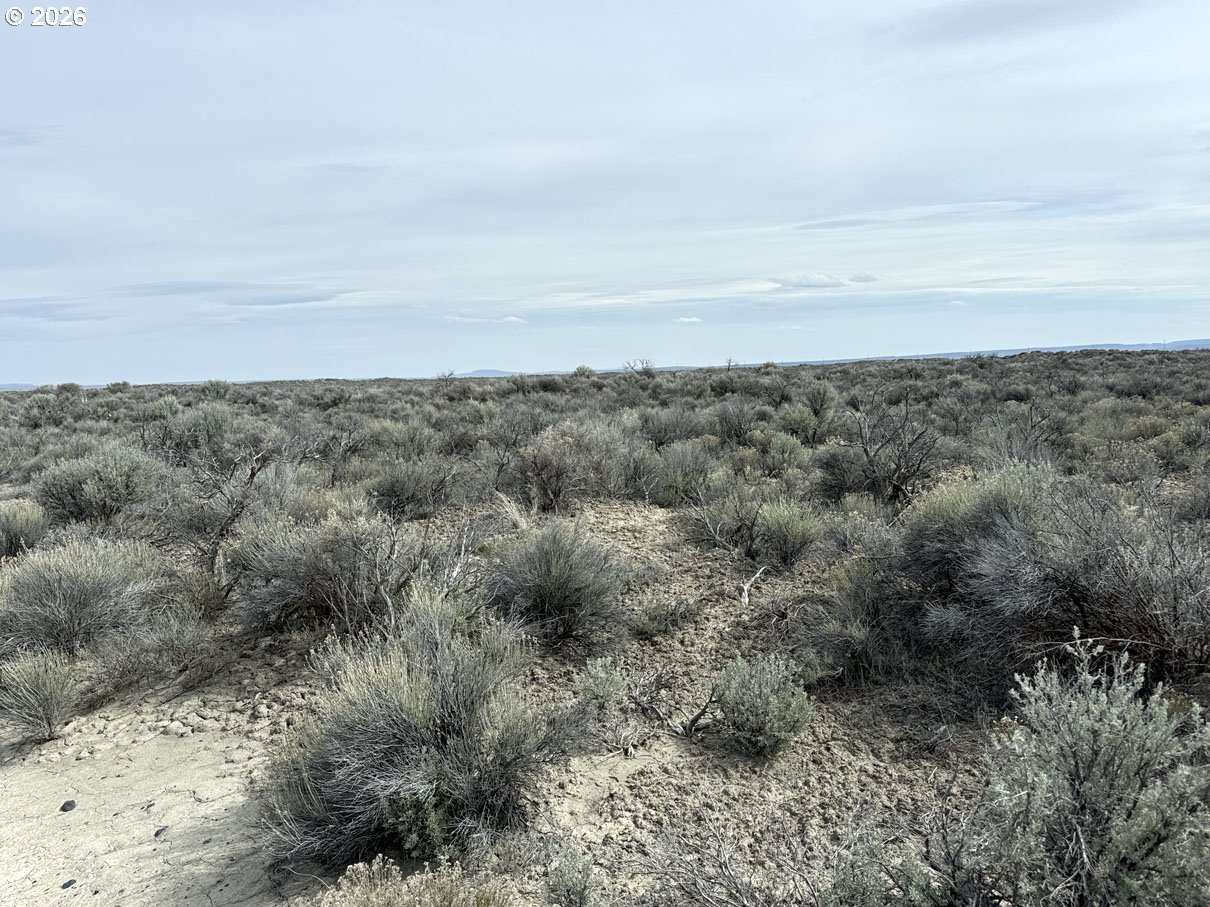 Fossil Lake Road, Unit 100 Christmas Valley, OR 97641 - Photo 18 of 25