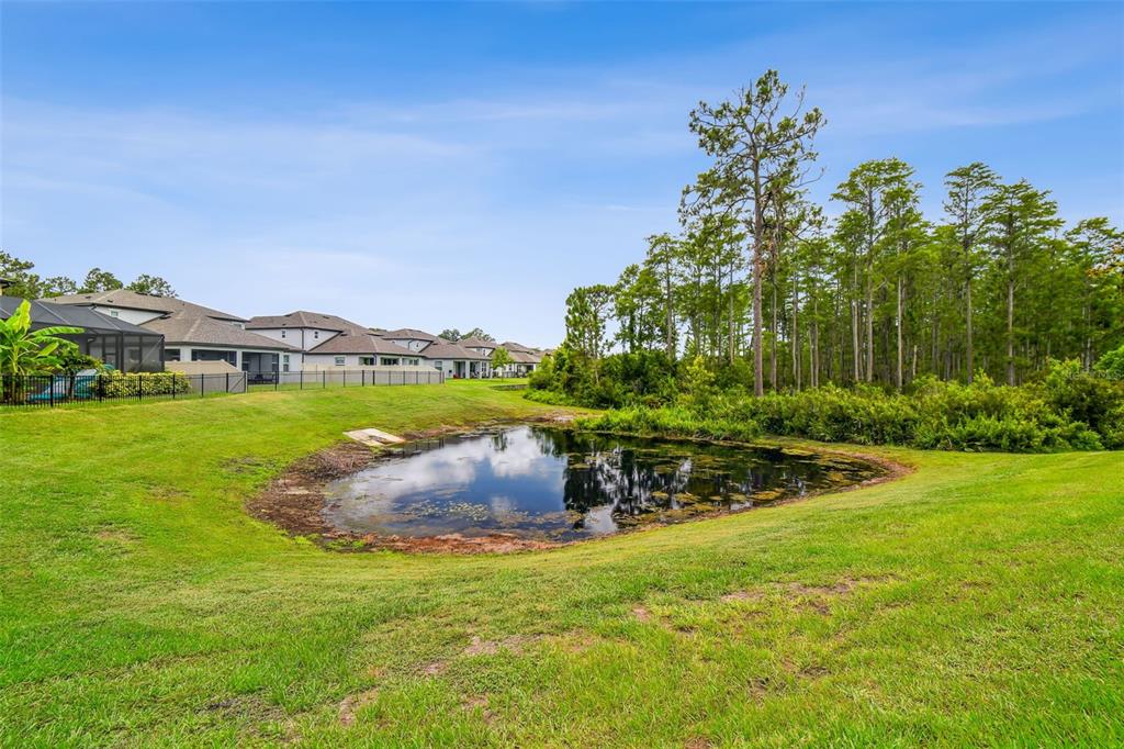 4215 Tatum Loop Odessa, FL 33556 - Photo 44 of 60