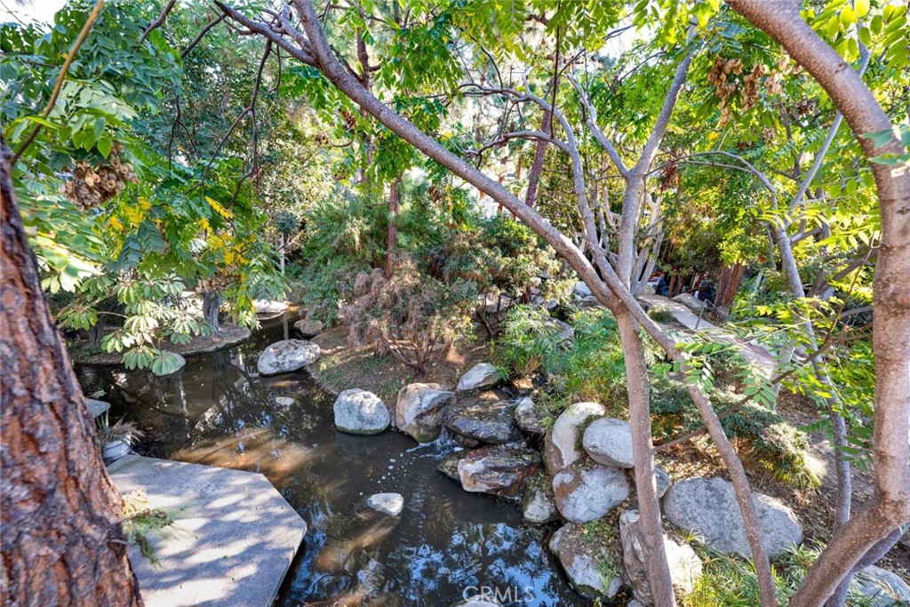 789 Grayling Bay Costa Mesa, CA 92626 - Photo 36 of 42 a view of a tree in a backyard