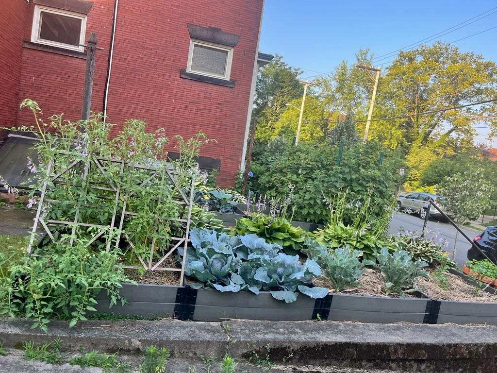 5901 Hampton Street Pittsburgh, PA 15206 - Photo 41 of 42 a view of a garden with plants