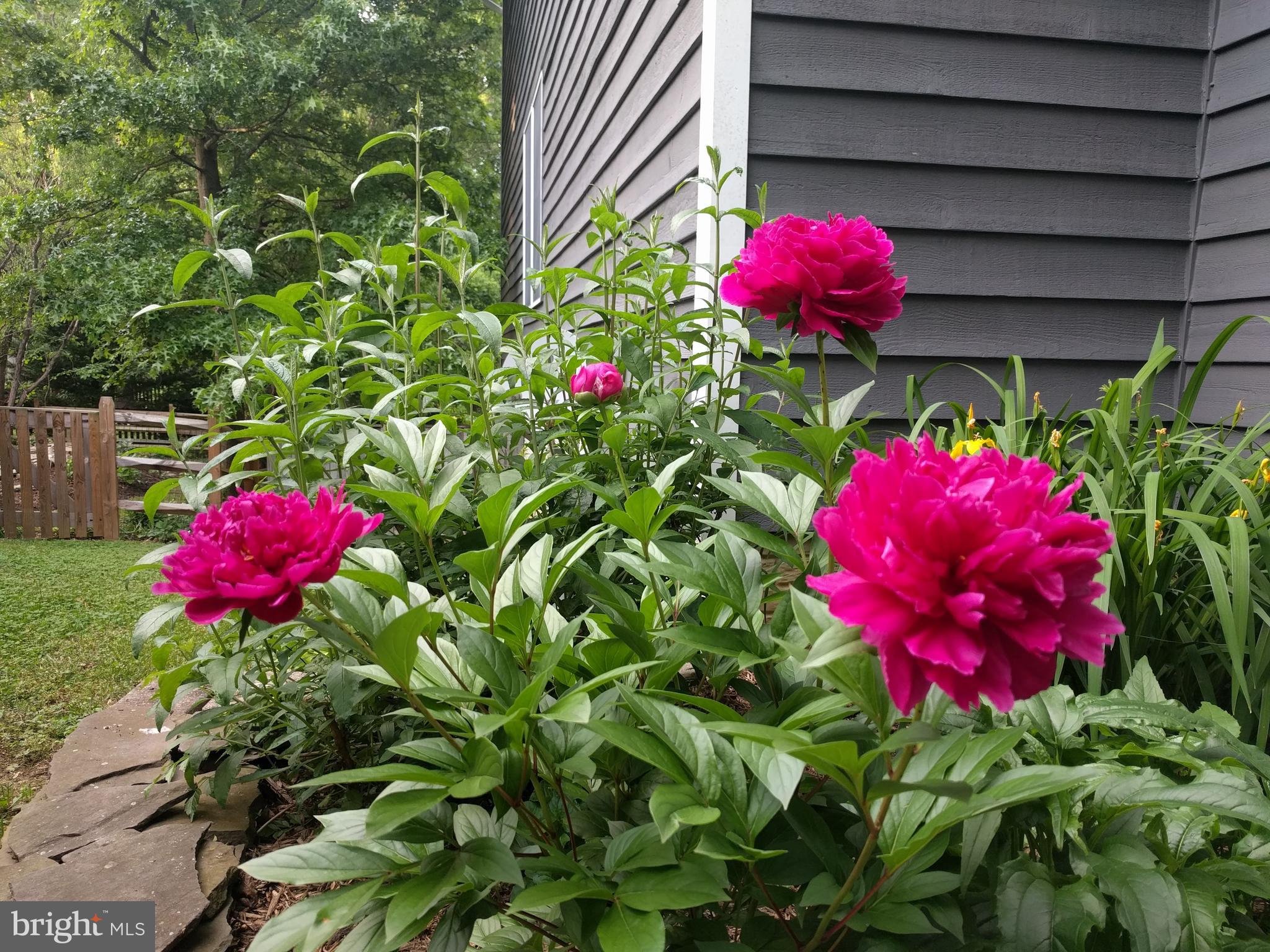 918 Berwick Drive Annapolis, MD 21403 - Photo 45 of 71