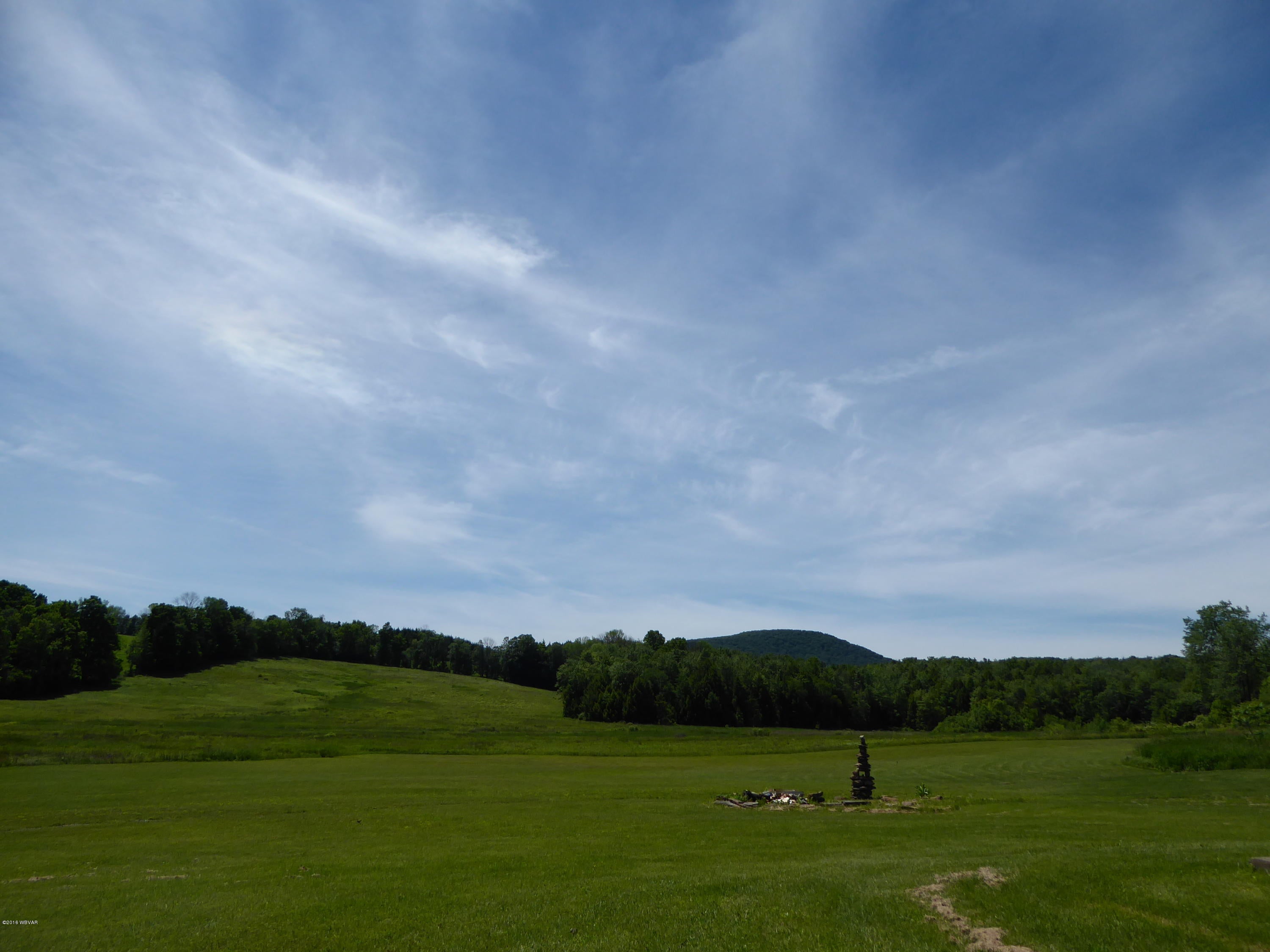 2351 Calvert Road Trout Run, PA 17771 - Photo 95 of 112 Back view