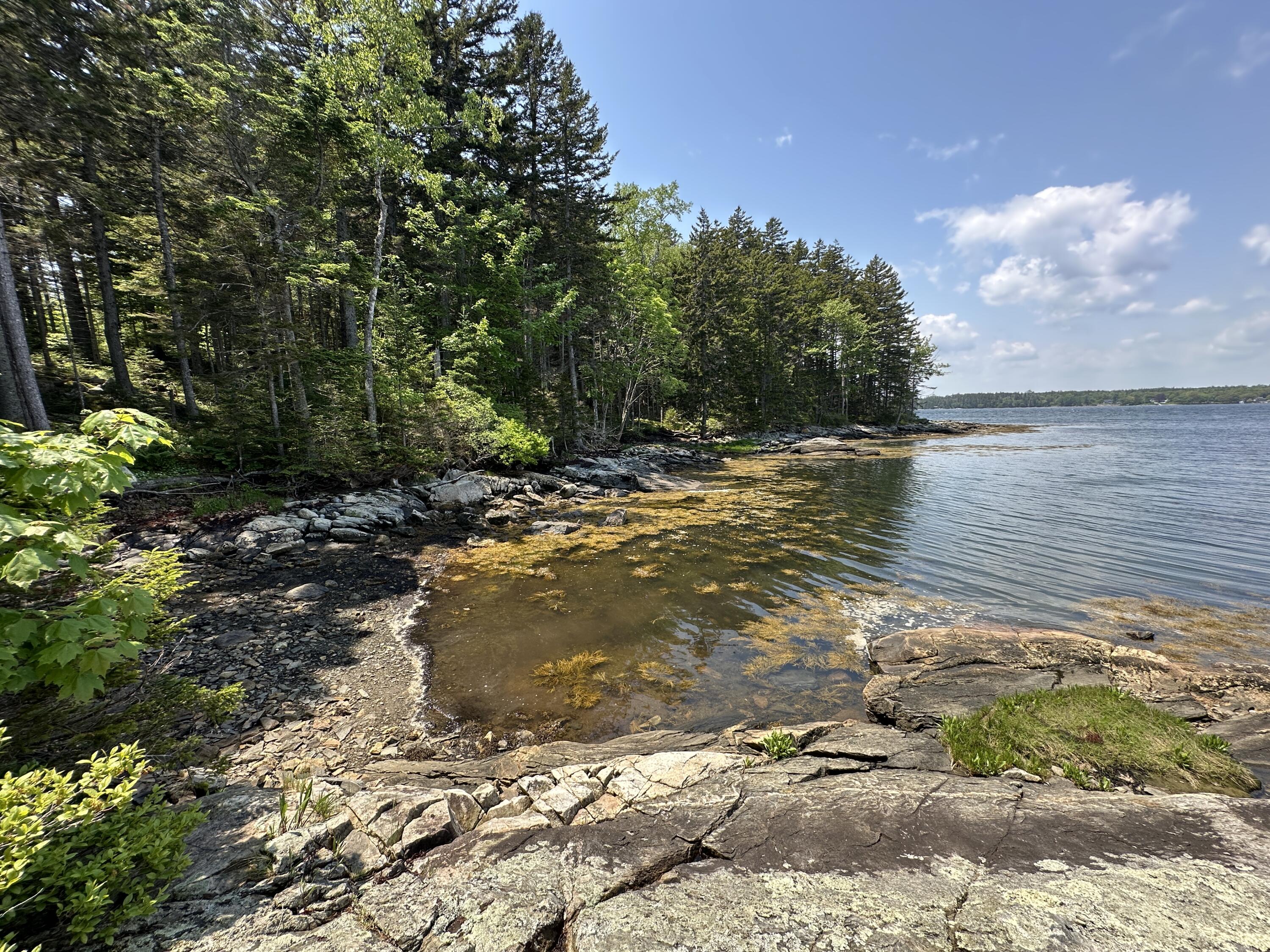 Lot 5 Waymouth Road Tenants Harbor, ME 04860 - Photo 11 of 56 Spruce Cove-Shared Water Access