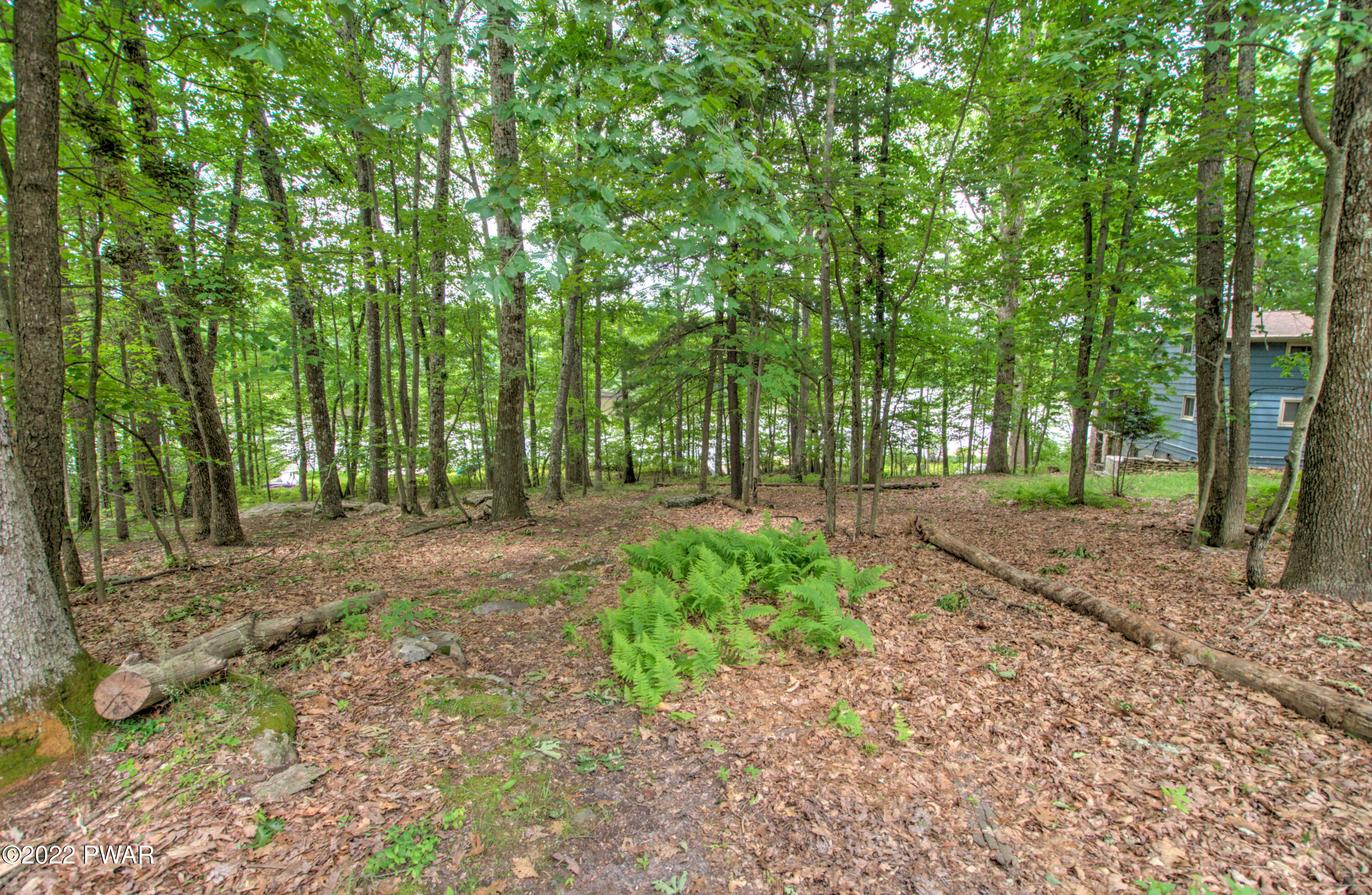 36 Whitney Lake Road Hawley, PA 18428 - Photo 39 of 45