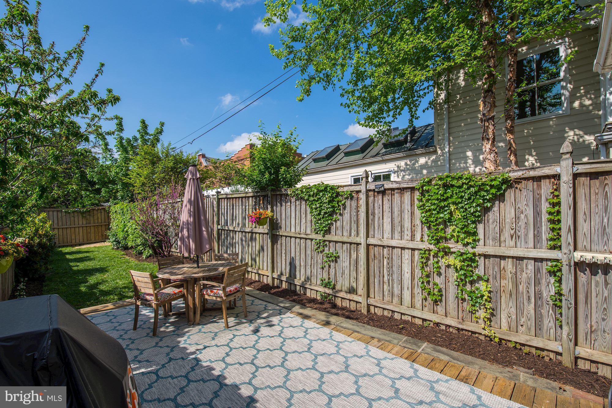 321 D Street Southeast Washington, DC 20003 - Photo 18 of 29 Huge rear garden and patio