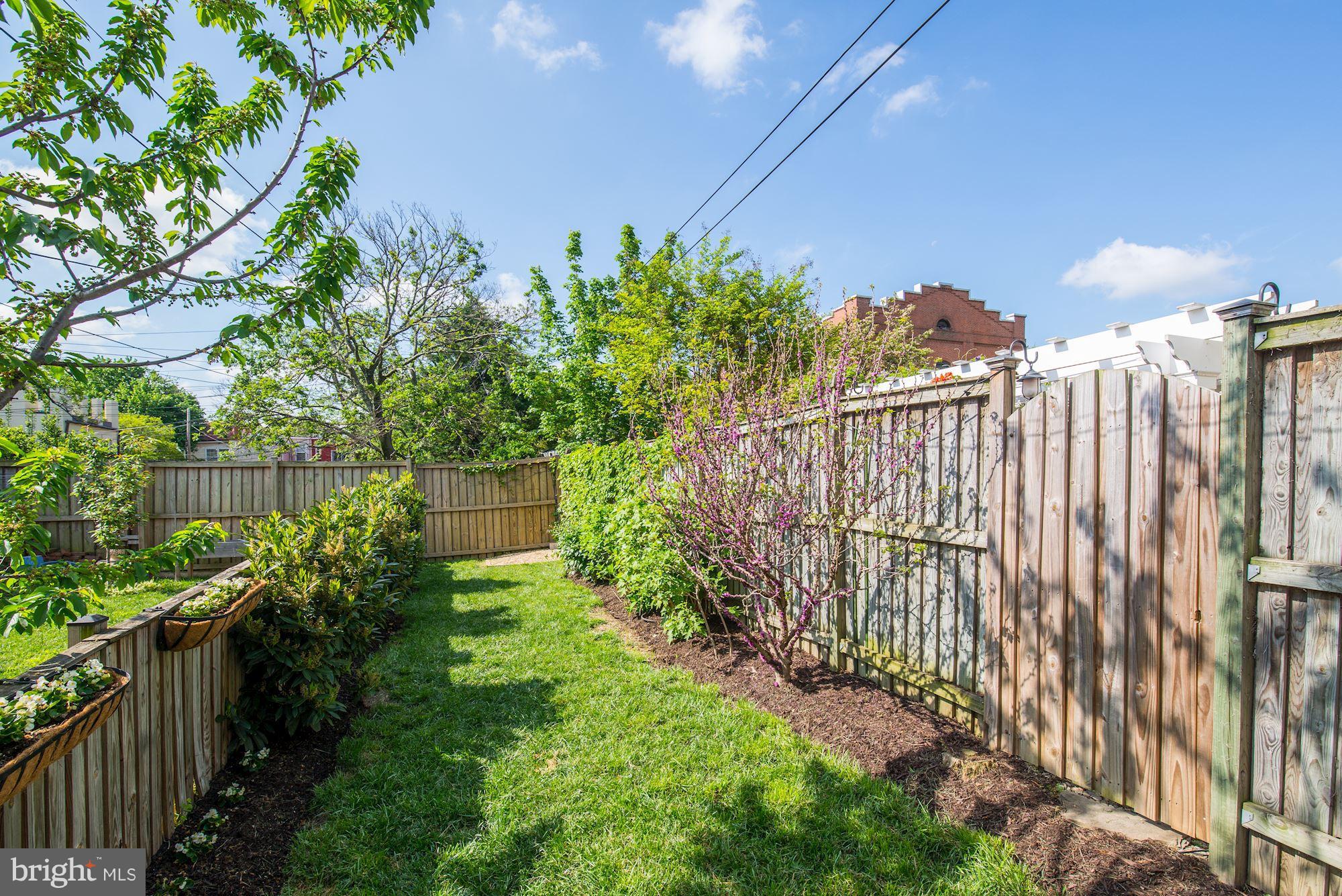 321 D Street Southeast Washington, DC 20003 - Photo 20 of 29 ...or your own urban respite