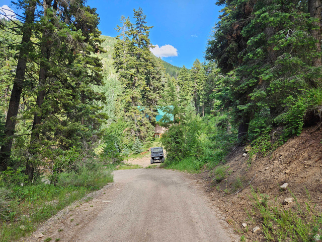 30 East Pine Creek Road South, Unit 30 Mount Pleasant, UT 84647 - Photo 1 of 14 View of road with a view of trees