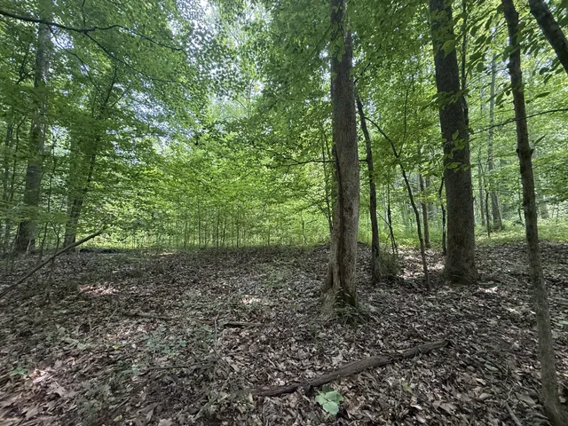 $100,000 | 107 Possum Trot Lane, Linden, TN 37096