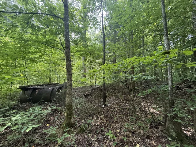 $100,000 | 107 Possum Trot Lane, Linden, TN 37096