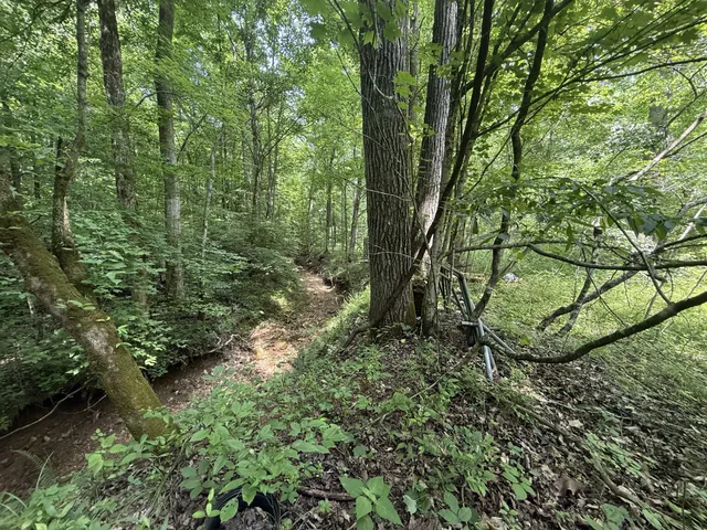 $100,000 | 107 Possum Trot Lane, Linden, TN 37096