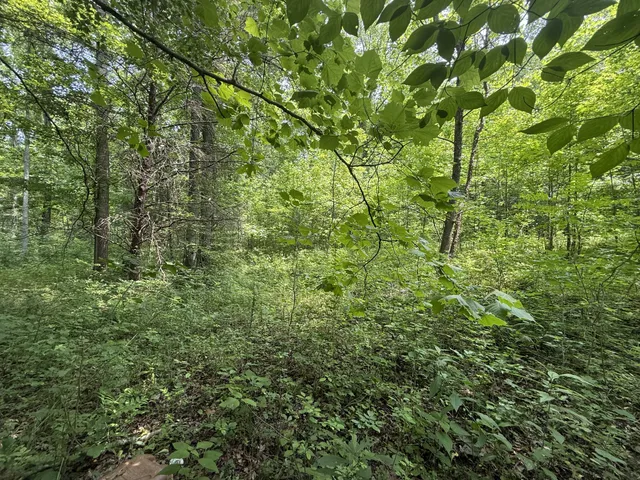 $100,000 | 107 Possum Trot Lane, Linden, TN 37096