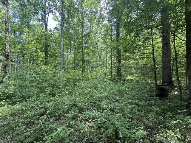 $100,000 | 107 Possum Trot Lane, Linden, TN 37096