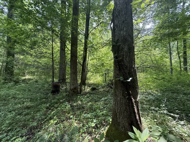 $100,000 | 107 Possum Trot Lane, Linden, TN 37096