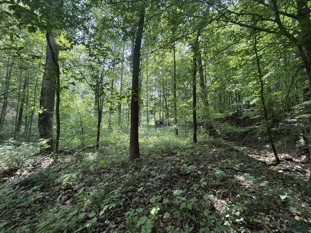 $100,000 | 107 Possum Trot Lane, Linden, TN 37096