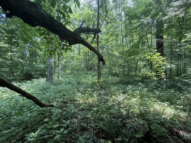 $100,000 | 107 Possum Trot Lane, Linden, TN 37096