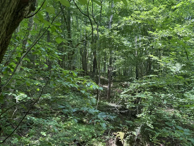 $100,000 | 107 Possum Trot Lane, Linden, TN 37096