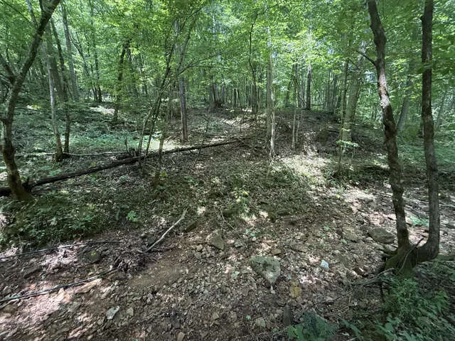 $100,000 | 107 Possum Trot Lane, Linden, TN 37096