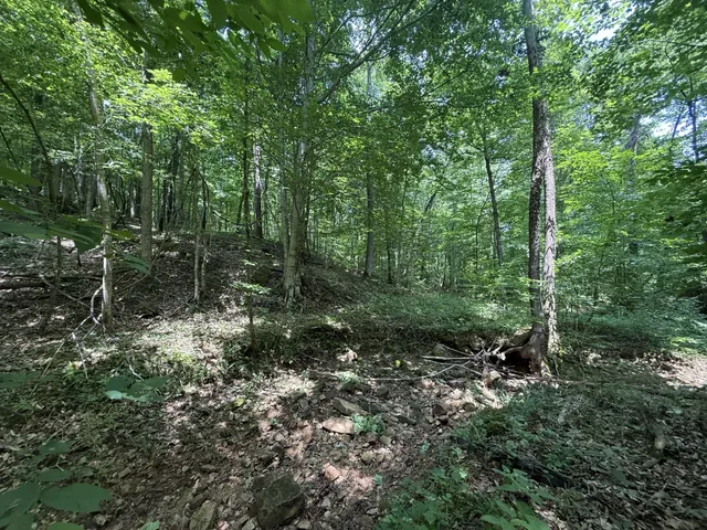 $100,000 | 107 Possum Trot Lane, Linden, TN 37096