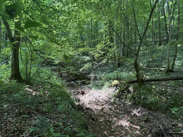 $100,000 | 107 Possum Trot Lane, Linden, TN 37096