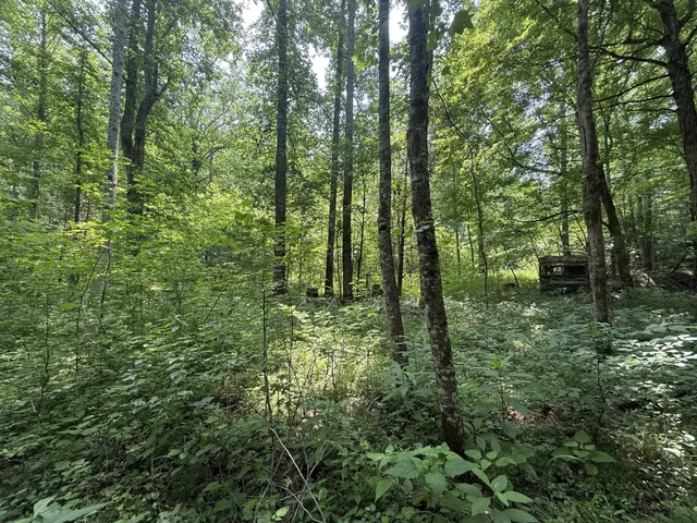 $100,000 | 107 Possum Trot Lane, Linden, TN 37096