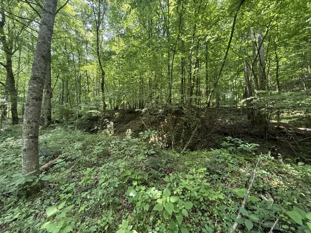 $100,000 | 107 Possum Trot Lane, Linden, TN 37096