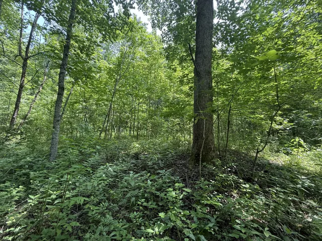 $100,000 | 107 Possum Trot Lane, Linden, TN 37096