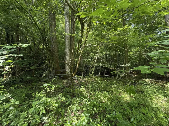 $100,000 | 107 Possum Trot Lane, Linden, TN 37096