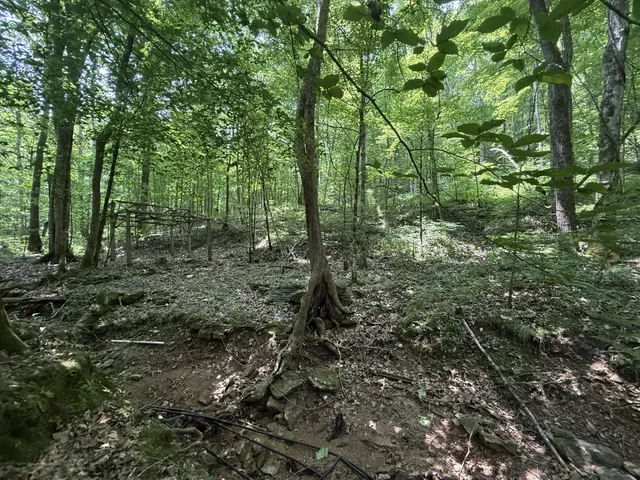 $100,000 | 107 Possum Trot Lane, Linden, TN 37096