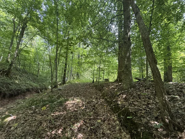 $100,000 | 107 Possum Trot Lane, Linden, TN 37096