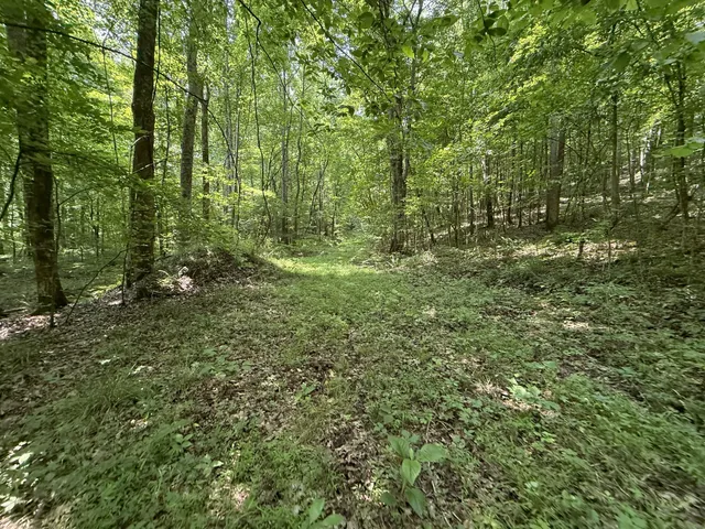 $100,000 | 107 Possum Trot Lane, Linden, TN 37096