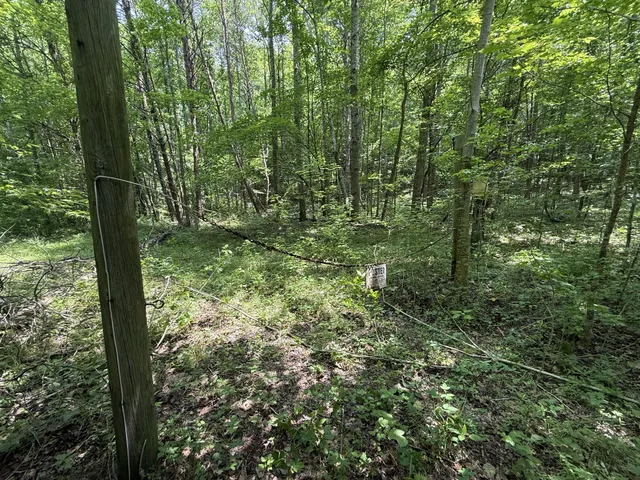 $100,000 | 107 Possum Trot Lane, Linden, TN 37096