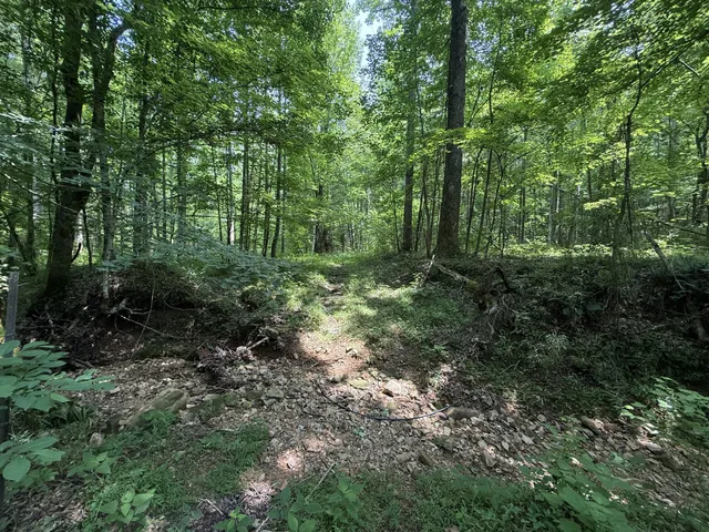 $100,000 | 107 Possum Trot Lane, Linden, TN 37096