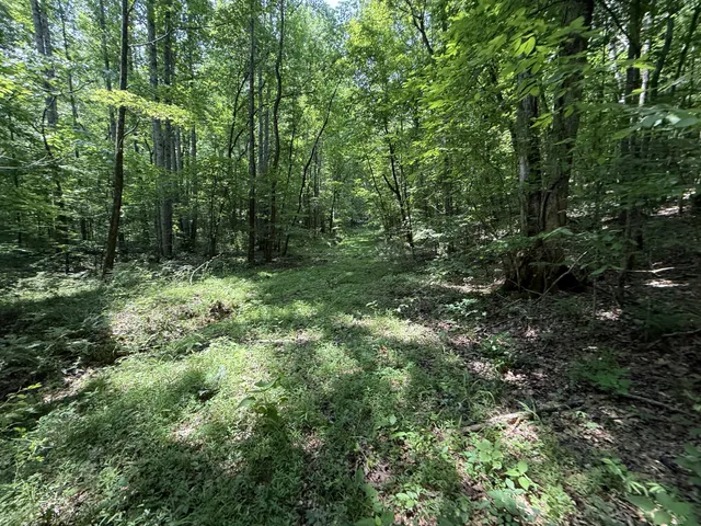 $100,000 | 107 Possum Trot Lane, Linden, TN 37096