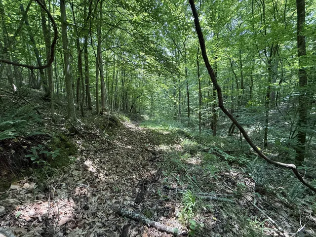 $100,000 | 107 Possum Trot Lane, Linden, TN 37096