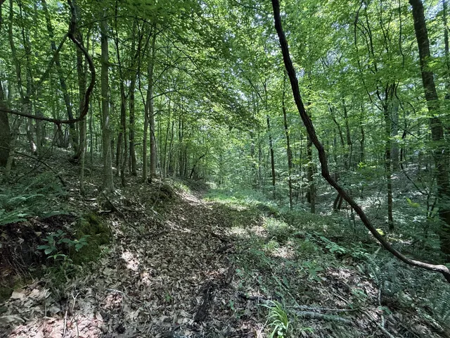 $100,000 | 107 Possum Trot Lane, Linden, TN 37096