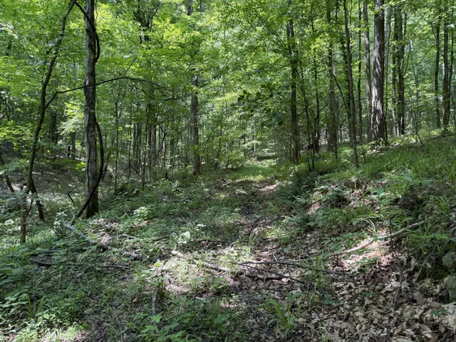 $100,000 | 107 Possum Trot Lane, Linden, TN 37096