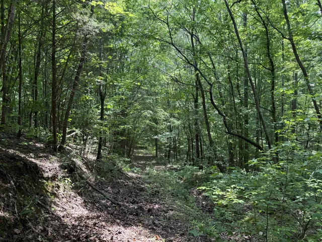 $100,000 | 107 Possum Trot Lane, Linden, TN 37096