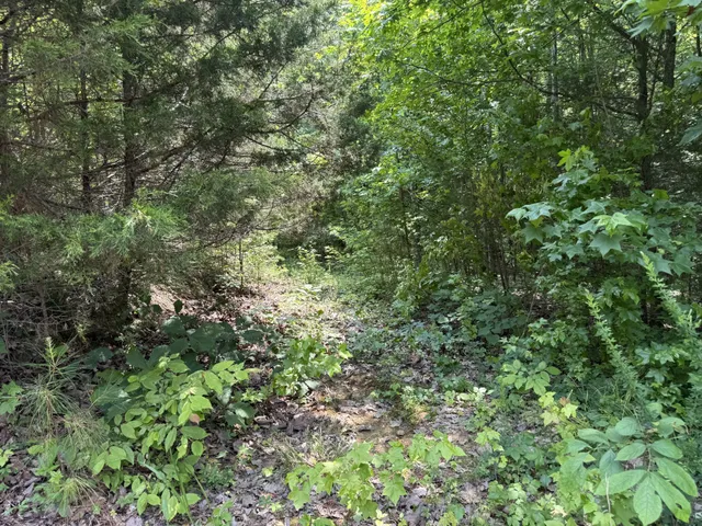 $100,000 | 107 Possum Trot Lane, Linden, TN 37096