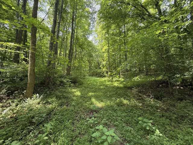 $100,000 | 107 Possum Trot Lane, Linden, TN 37096