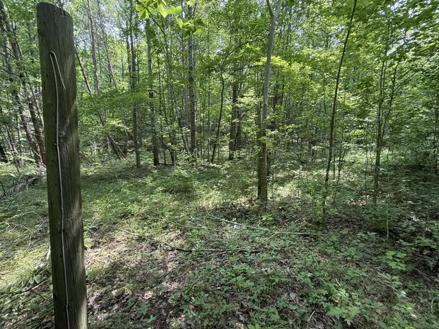 $100,000 | 107 Possum Trot Lane, Linden, TN 37096