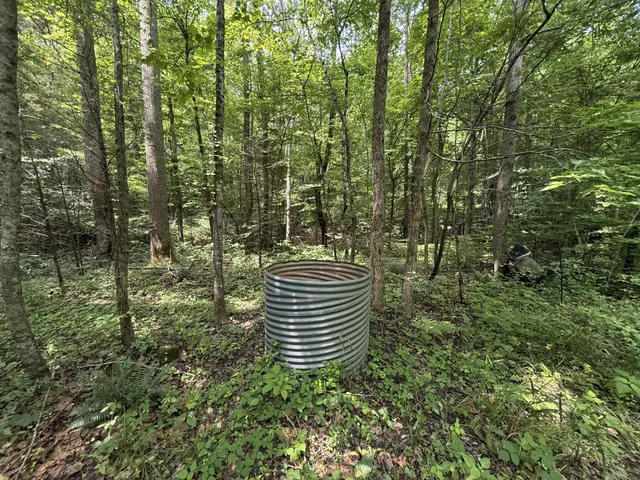 $100,000 | 107 Possum Trot Lane, Linden, TN 37096